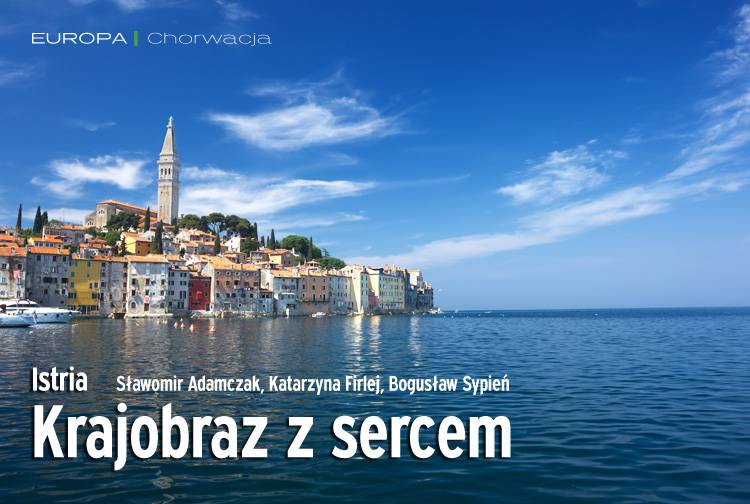 Losowy darmowy artykuł